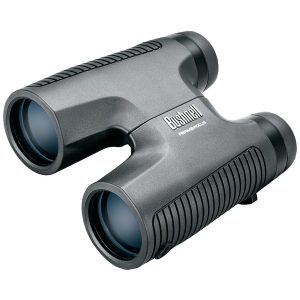 PermaFocus(R) 10 x 42mm Roof Prism Binoculars