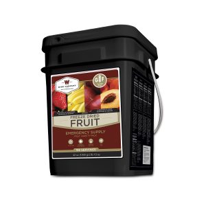 NEW Freeze Dried Fruit – 156 Servings Gluten Free GFF156
